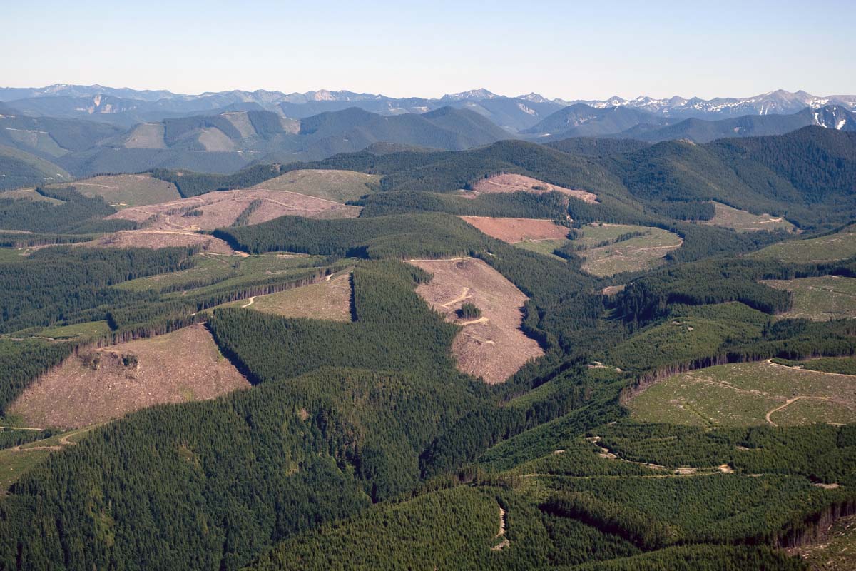 Aerial Photo of Logging Industry and Clearcuts in Washington
