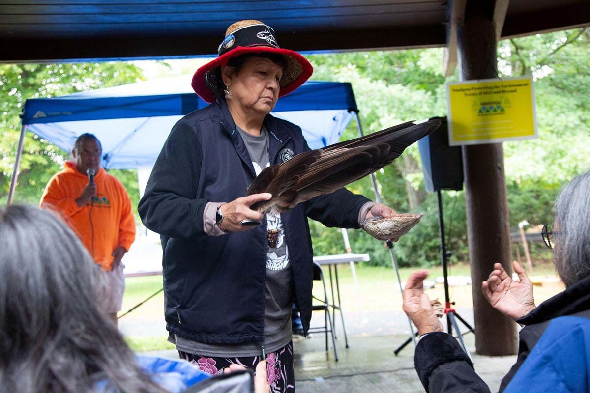 snake photo diary 03w11 snake photo diary 03w11