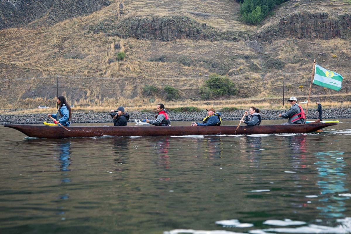 snake photo diary 06w96 snake photo diary 06w96