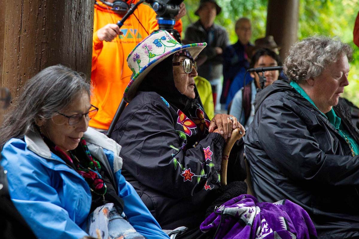 snake photo diary 13w97 snake photo diary 13w97