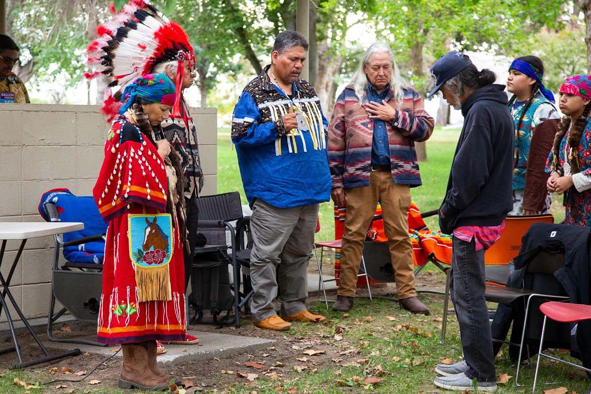 snake photo diary 18w3 snake photo diary 18w3