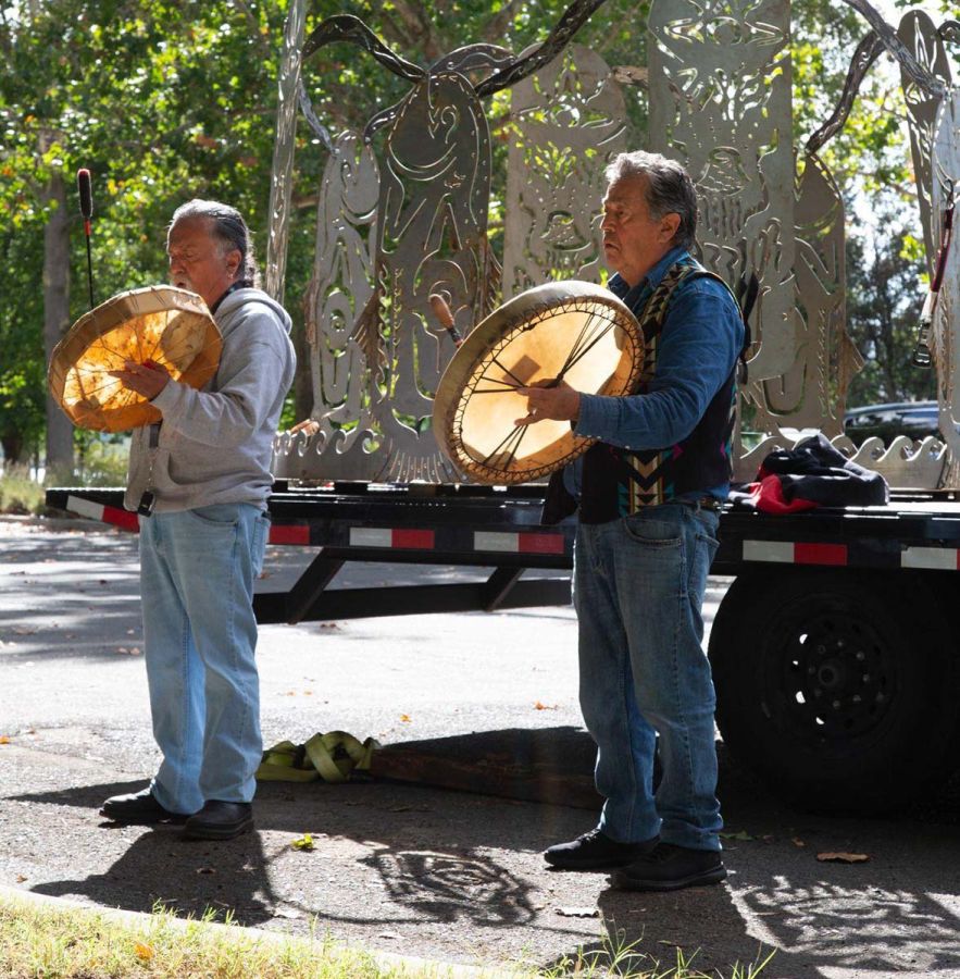 snake photo diary 20h19 snake photo diary 20h19