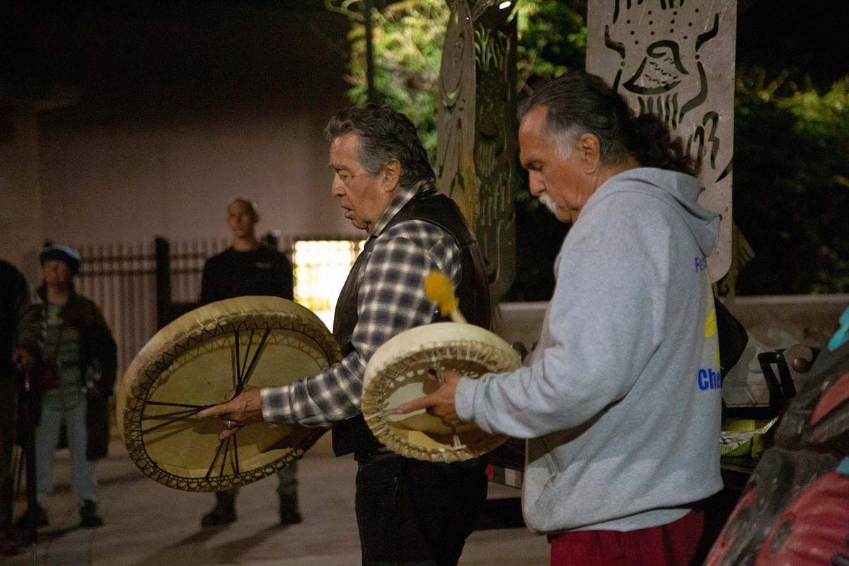 snake photo diary 31w56 snake photo diary 31w56