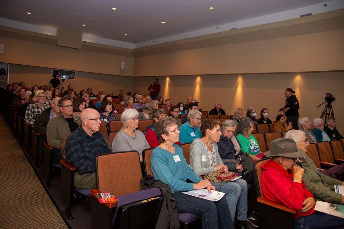 snake photo diary 32w5 snake photo diary 32w5